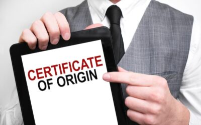 Certyfikat językowy jak zdobyć i co warto wiedzieć