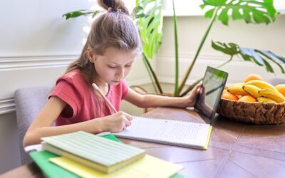 Jak poprawnie wypełnić dziennik praktyk w przedszkolu?