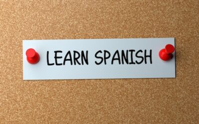 Ile zarabia tłumacz języka hiszpańskiego i od czego to zależy