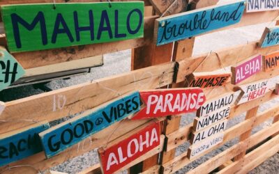 Ile zarabia tłumacz włoskiego i czego można się spodziewać?