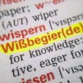 Jak zrobić słownik angielsko polski, aby był przydatny i łatwy w użyciu