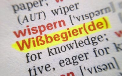 Jak zrobić słownik angielsko polski, aby był przydatny i łatwy w użyciu