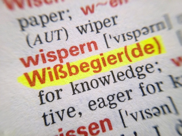 Jak zrobić słownik angielsko polski, aby był przydatny i łatwy w użyciu