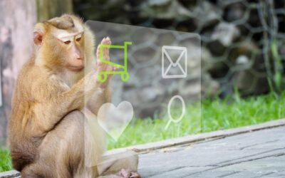 Jak jest małpa po angielsku w mailu i dlaczego warto znać te wyrażenia